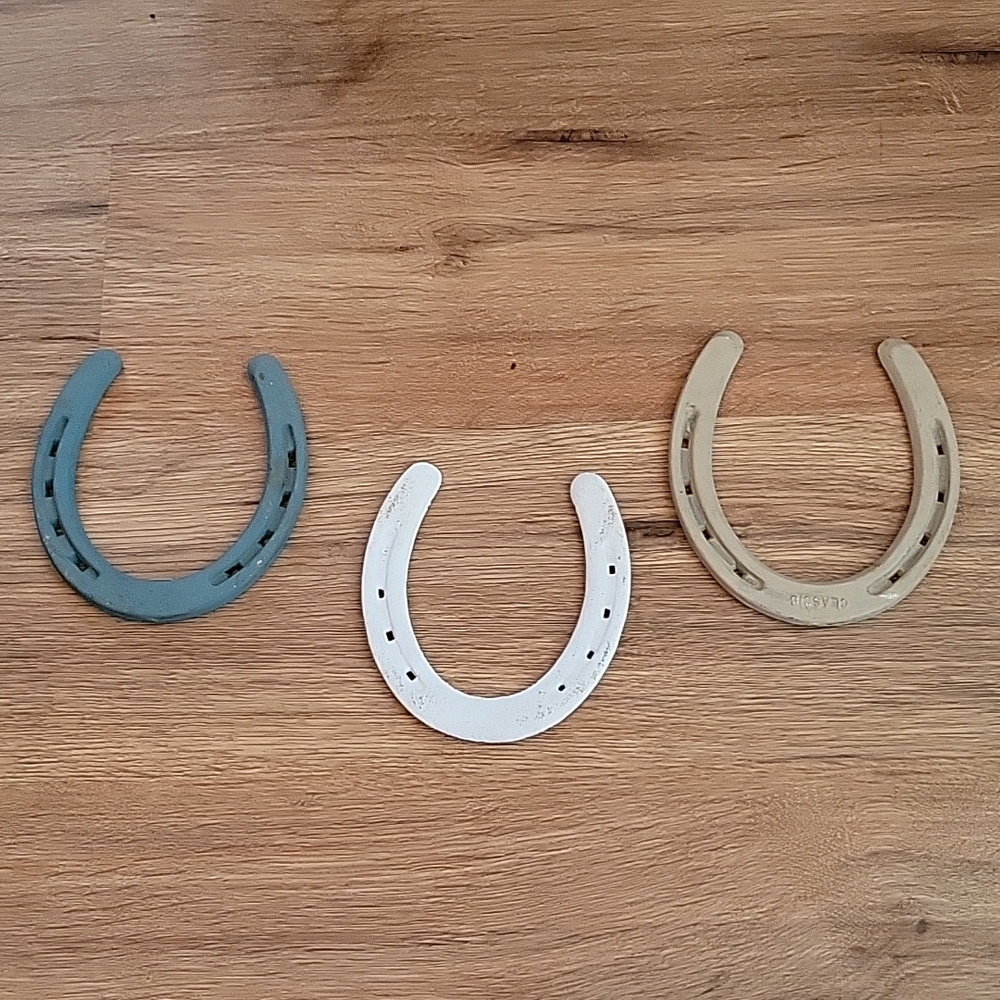 Painted horse shoes